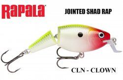 Jointed Shallow Shad Rap CLN